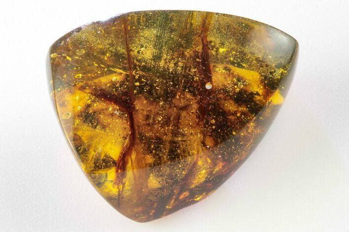 Polished Chiapas Amber ( g) - Mexico #193241